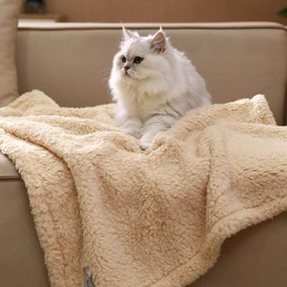No. 2 - 3 Calming Blankets Fluffy Premium Fleece Pet Blanket - 3