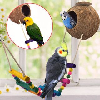 No. 5 - KATUMO Bird Coconut House and Chew Toys - 3