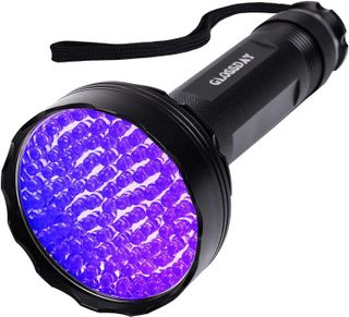 No. 10 - GLOSSDAY UV Flashlight Black Light - 1