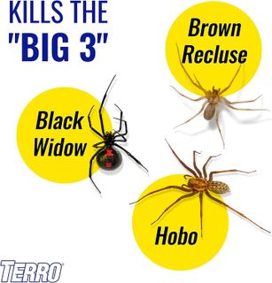 No. 7 - Terro Spider Killer Spray - 4