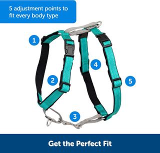 No. 5 - PetSafe 3 in 1 No-Pull Dog Harness - 4