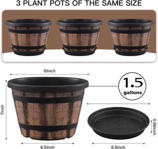 No. 1 - Plant Pots Set of 3 Pack 10 inch - 2