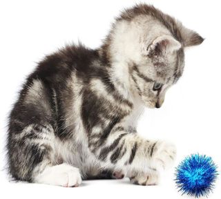 No. 10 - BallHull Cat Toy Balls - 4