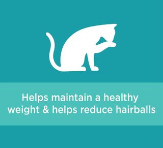 No. 8 - IAMS Proactive Health Adult Indoor Weight Control & Hairball Care Dry Cat Food - 5