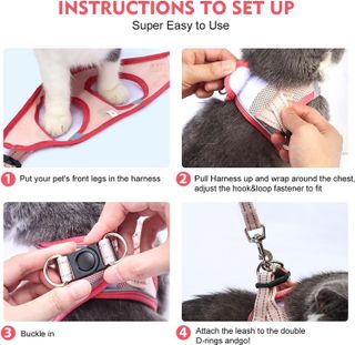 No. 8 - Surepet Cat Harness and Leash Set - 5