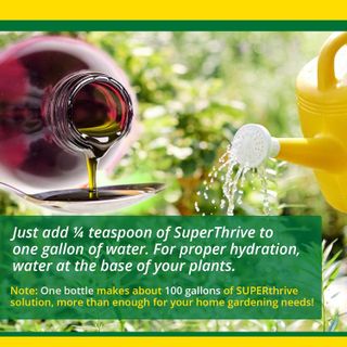 No. 6 - SUPERthrive Plant Food - 4