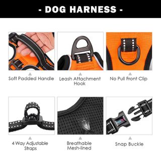 No. 3 - PHOEPET No Pull Dog Harness - 4