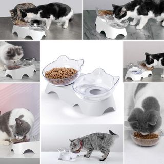 No. 6 - MILIFUN Cat Food Bowls Elevated Tilted - 3
