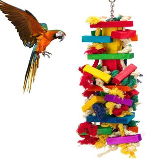 Top 10 Bird Toys for Entertainment and Engagement- 5