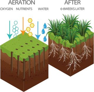 No. 2 - Walensee Manual Lawn Aerator - 5