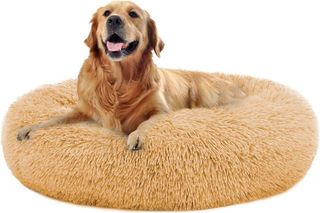 Top 10 Best Pet Sofas for Your Furry Friend- 4