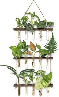 Top 10 Terrariums and Plant Propagation Stations for Stylish Home Decor- 4