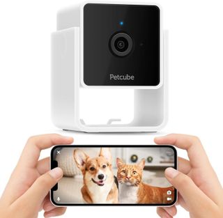 Top 10 Best Pet Cameras for Monitoring Your Pets- 4