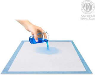 No. 3 - Ultra Absorbent Training Pads - 5