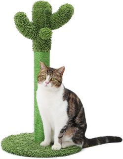 10 Best Cat Scratching Posts for Happy and Healthy Cats- 2