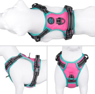 No. 10 - PHOEPET No Pull Dog Harness - 2