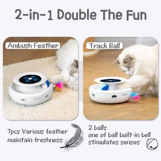 No. 10 - ORSDA 2in1 Interactive Cat Toys - 2