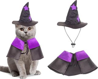 No. 10 - ADOGGYGO Cat Witch Costume - 1