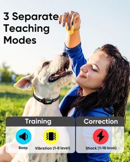 No. 8 - Evuime Dog Training Collar with Remote - 3