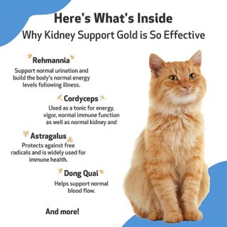 No. 7 - Kidney Support Gold - 5