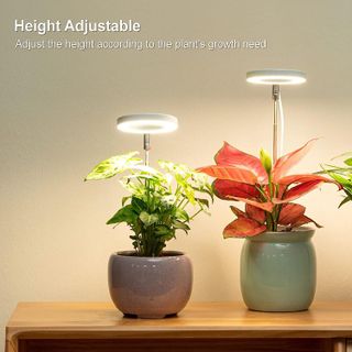 No. 6 - LORDEM Grow Light - 2