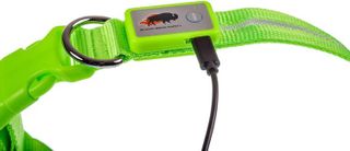 No. 10 - Blazin Light Up Dog Collars - 2