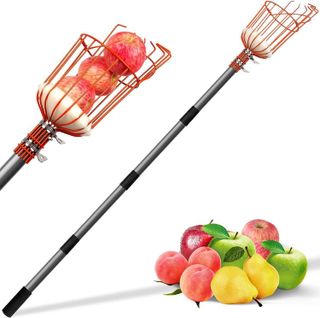 Top 10 Fruit Pickers for Easier Fruit Harvesting- 4