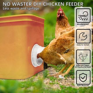 No. 6 - DSTANA DIY Chicken Feeder No Waste - 2