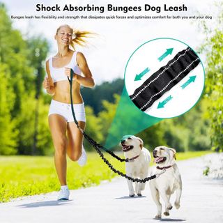 No. 5 - 2 Dog Leash, 360° Swivel No Tangle Double Dog Walking & Training Leash - 2