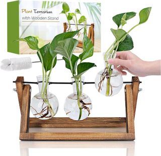 Top 10 Terrariums and Plant Propagation Stations for Stylish Home Decor- 2