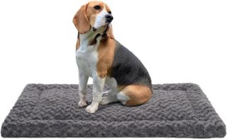 No. 10 - Washable Dog Bed Mat - 1