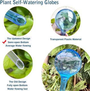 No. 4 - Plant Watering Globes - 5