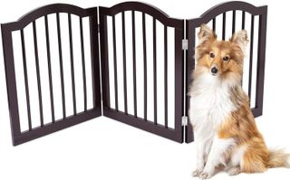 No. 8 - Arched Top Dog Gate - 1