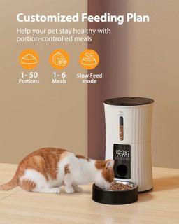 No. 10 - Petory Timed Automatic Cat Feeders - 2