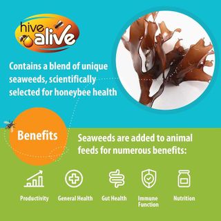 No. 3 - HIVE ALIVE Fondant Bee Food Supplement - 4