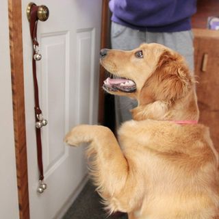 No. 4 - CATHYLIFE Dog Doorbell - 5