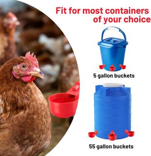 No. 7 - Sykria Chicken Water Feeder - 2