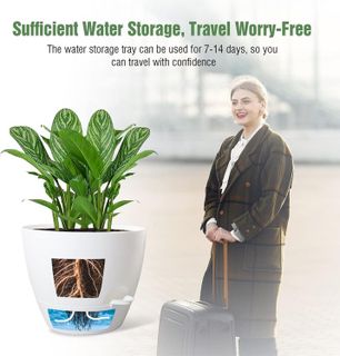 No. 4 - Plastic Self Watering Plant Pots - 2