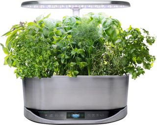 No. 3 - AeroGarden Gourmet Herb Seed Pod Kit - 4