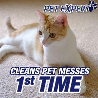 No. 8 - Resolve Pet Carpet Stain Remover - 3