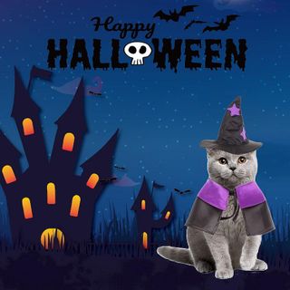 No. 10 - ADOGGYGO Cat Witch Costume - 2