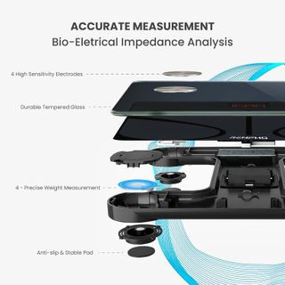 No. 8 - RENPHO Smart Scale - 5