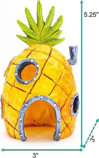 No. 3 - SpongeBob Pineapple House - 3