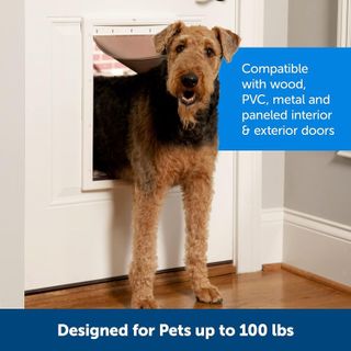 No. 8 - PetSafe Plastic Pet Door - 3