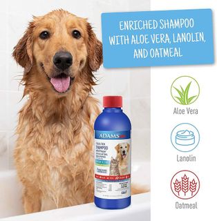 No. 3 - Adams Carpet Flea Spray and Shampoo - 3