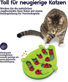 No. 3 - Nina Ottosson by Catstages Buggin' Out Puzzle & Play - 3