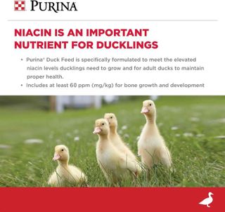 No. 7 - Purina Duck Feed Pellets - 3