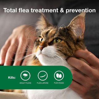No. 1 - Advantage II Large Cat Flea Treatment & Prevention - 4
