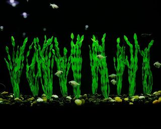 No. 4 - MyLifeUNIT Aquarium Seaweed Plastic Plant - 5