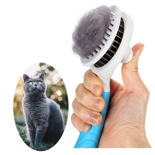 No. 6 - itPlus Cat Brush - 1
